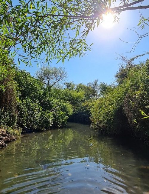 שמורת הטבע מג'רסה