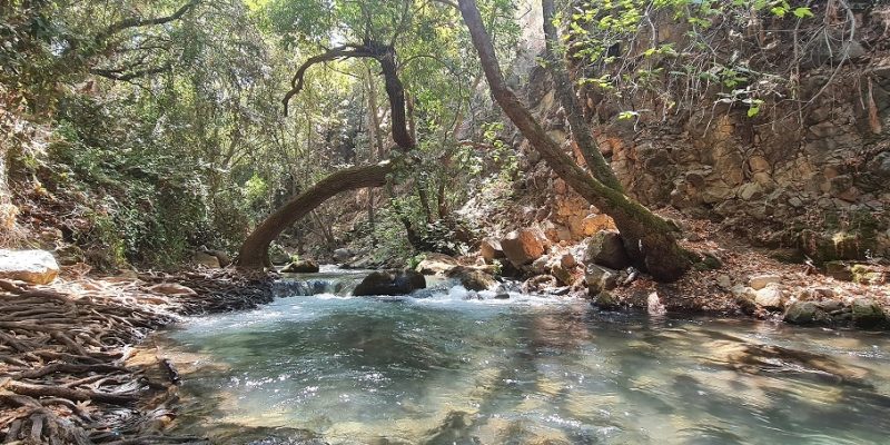 נחל חרמון הבניאס תיכון מסלול מקיבוץ שניר לשאר ישוב