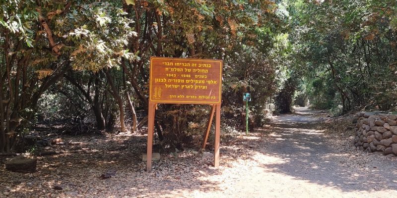 שמורת הטבע תל דן