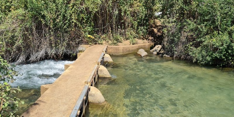 טיולי הדן קיבוץ דפנה