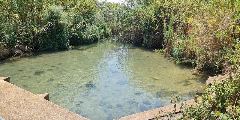 טיולי הדן קיבוץ דפנה