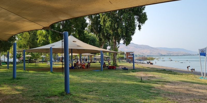 חוף דוגה חוף שקט בכנרת