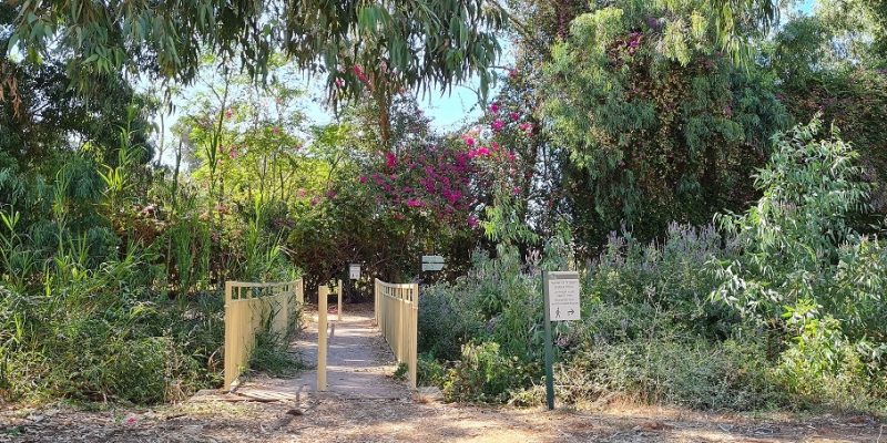 גן לאומי ירקון מקורות הירקון