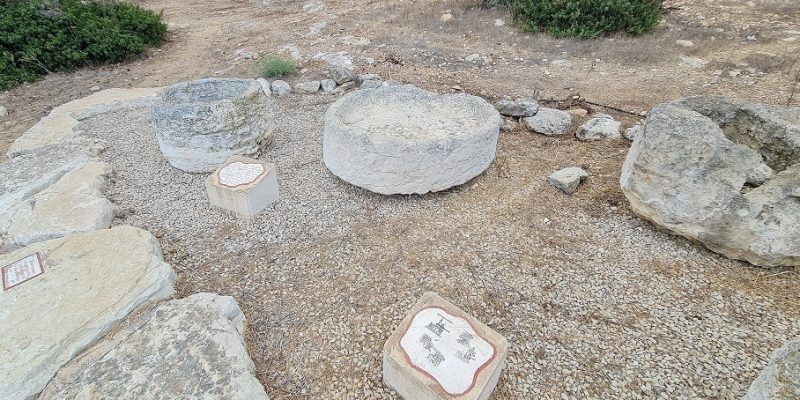 שביל אוהד - סובב נופית