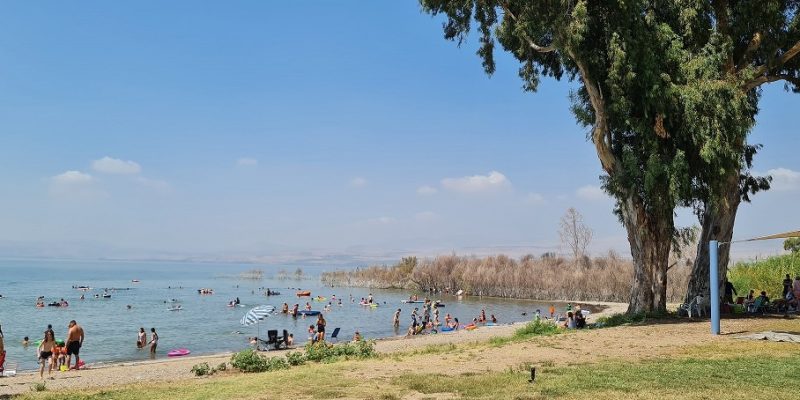 חוף דוגה חוף שקט בכנרת