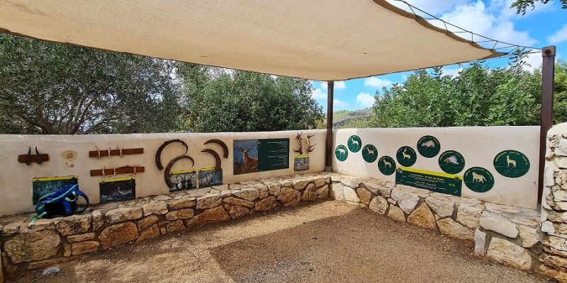 שמורת הטבע חי בר כרמל