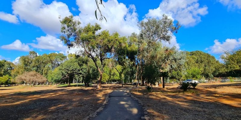 יער האילנות – גן בוטני יערני (ארבורטום) ומרכז מבקרים