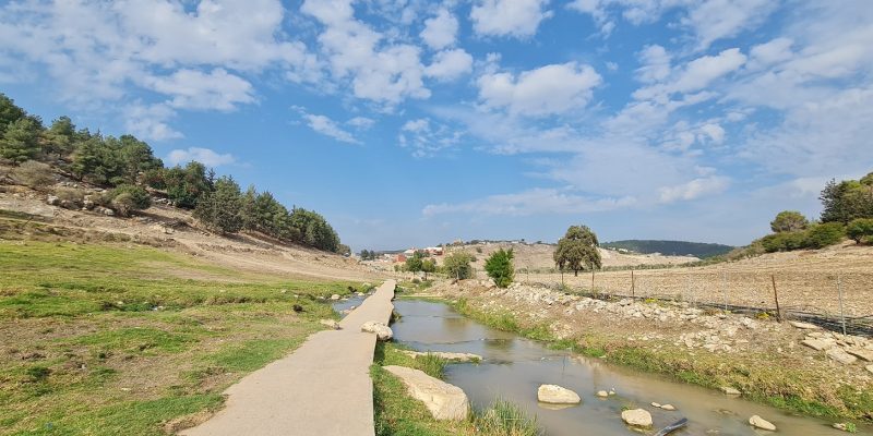 נחל ציפורי טחנת הנזירים