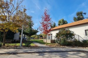 כפר הנופש עין זיוון