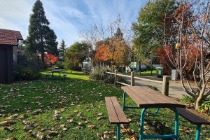 מלון מרום גולן