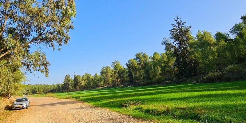 דרך נוף יער בן שמן – מצפה מודיעין - חניון המוסיקאלי