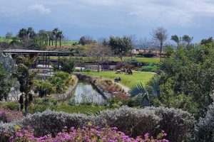 פארק אריאל שרון - הר הזבל חירייה