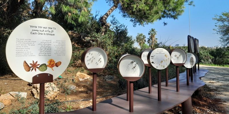 באדיבות הגן הבוטני של אוניברסיטת תל אביב: גן יהודה נפתלי