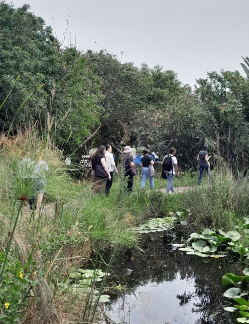 באדיבות הגן הבוטני של אוניברסיטת תל אביב: גן יהודה נפתלי