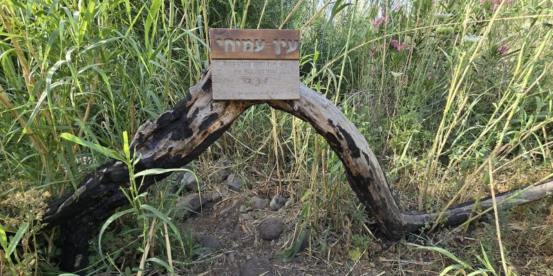 עין זכרי: בריכת עמיחי בנחל המשושים