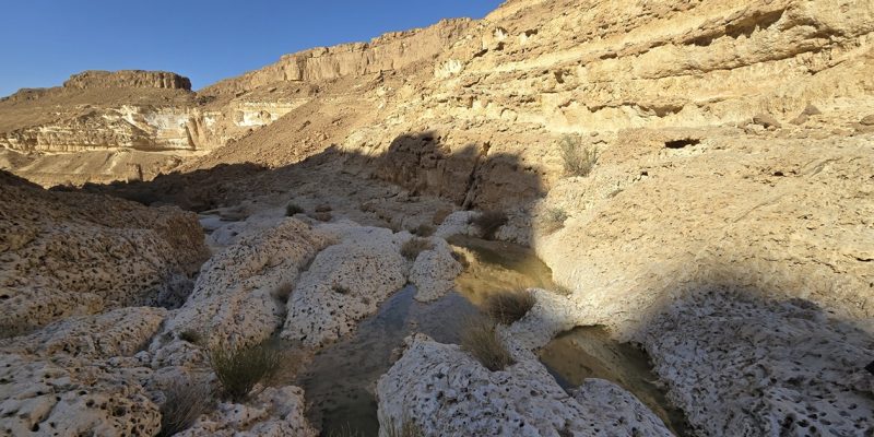 נחל חדב: טיול גבים בנחל הנסתר של הנגב הדרומי