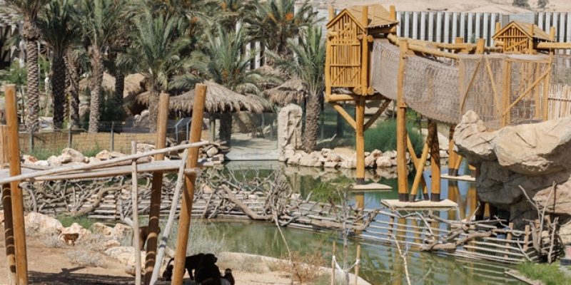 פארק החיות מדבריום תמונה באדיבות קופונופש