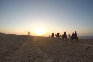 נקודות עצירה ואטרקציות בדרך לאילת