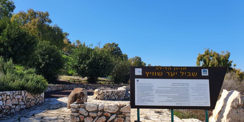 יער שוויץ – טיול בדרך נוף הכנרת