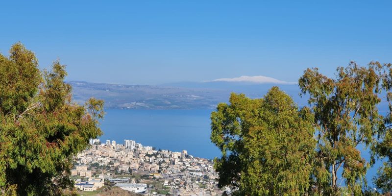 יער שוויץ – טיול בדרך נוף הכנרת