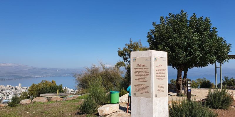 יער שוויץ – טיול בדרך נוף הכנרת