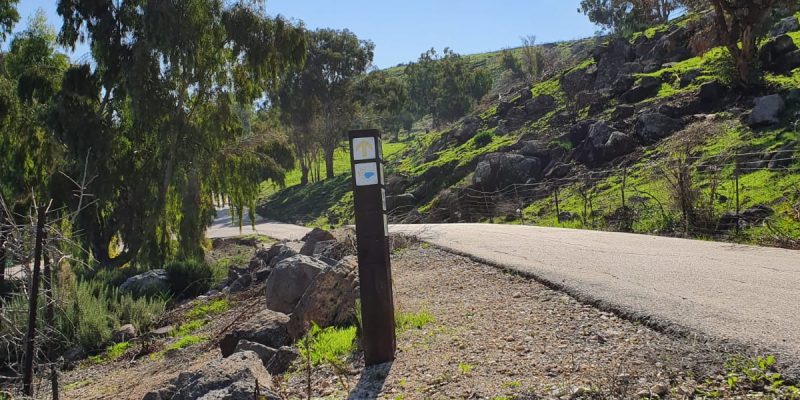 יער שוויץ – טיול בדרך נוף הכנרת