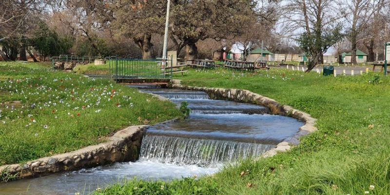 חורשת טל – פארק טבע עם פלגי מים וחניון לילה מסודר