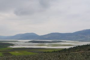 מצפור נטופה