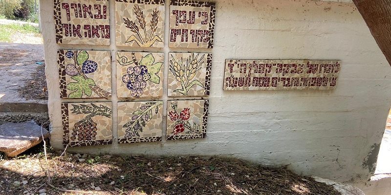פארק המעיינות המסלול הרטוב עין שוקק