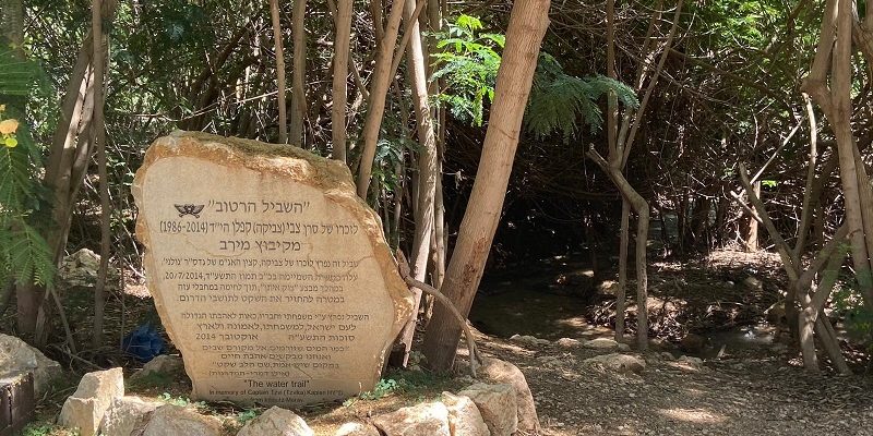 פארק המעיינות המסלול הרטוב עין שוקק