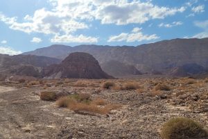 הר אמיר - הרי אילת