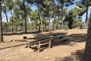 יער לביא צומת גולני - קרן קיימת לישראל