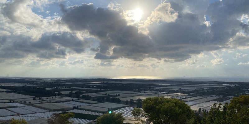 שביל הבריחה ותצפית עופר ביער חוף הכרמל – יער עופר