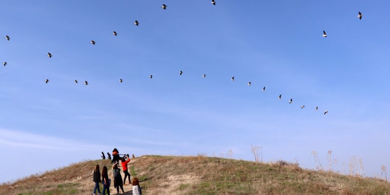 באדיבות תיירות ניד דוד
