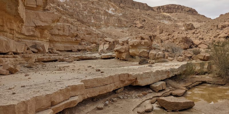 נחל חדב: טיול גבים בנחל הנסתר של הנגב הדרומי