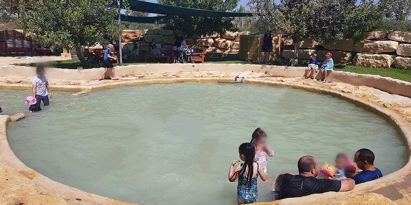 כרם רמון – כרם בלב מדבר