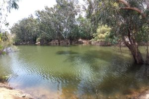 אגם הנקיק ראשון לציון