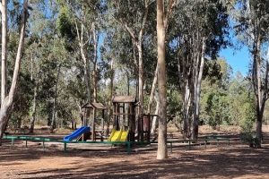 יער האילנות חניון איל"ן וחניון מתן גוטליב