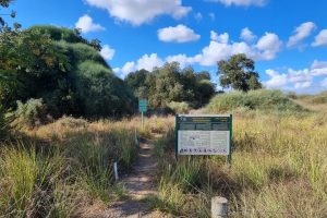 שמורת הטבע קדימה