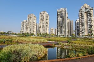 האגם האקולוגי והפארק הגדול בפתח תקווה