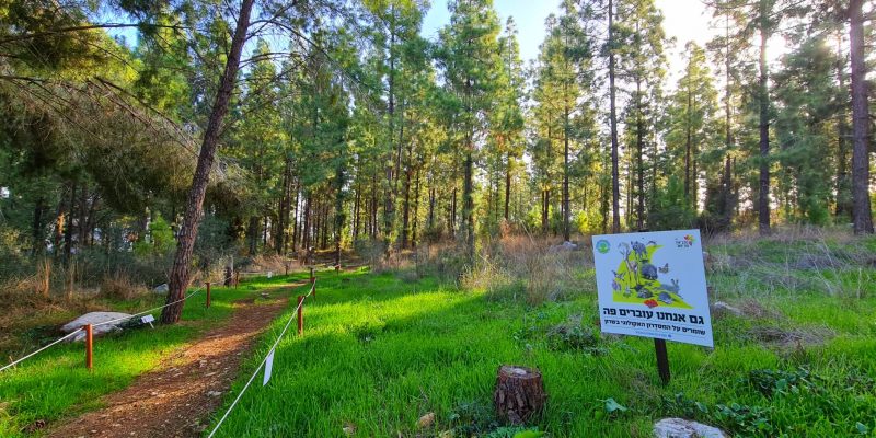 יער הרקפות ומצפה האחים – חורבת נשה בכוכב יאיר