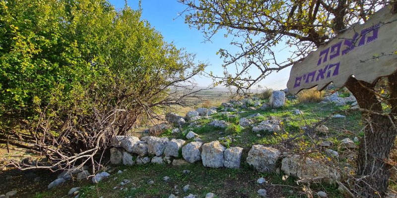 יער הרקפות ומצפה האחים – חורבת נשה בכוכב יאיר