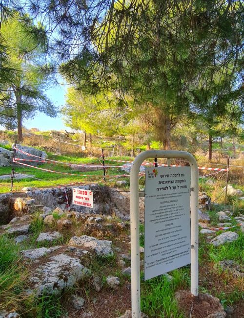 יער הרקפות ומצפה האחים – חורבת נשה בכוכב יאיר