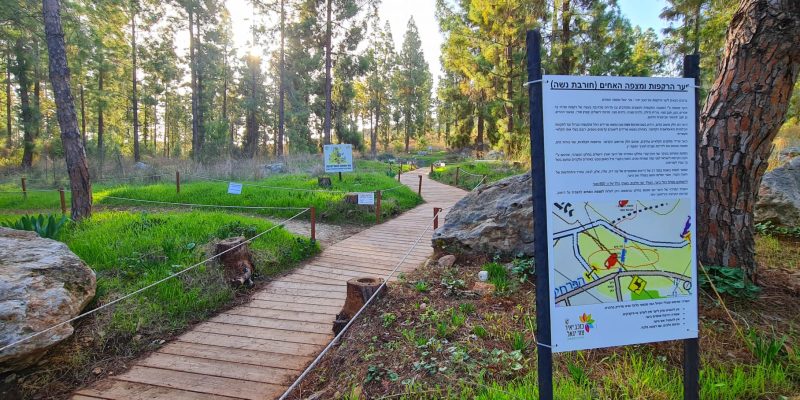 יער הרקפות ומצפה האחים – חורבת נשה בכוכב יאיר