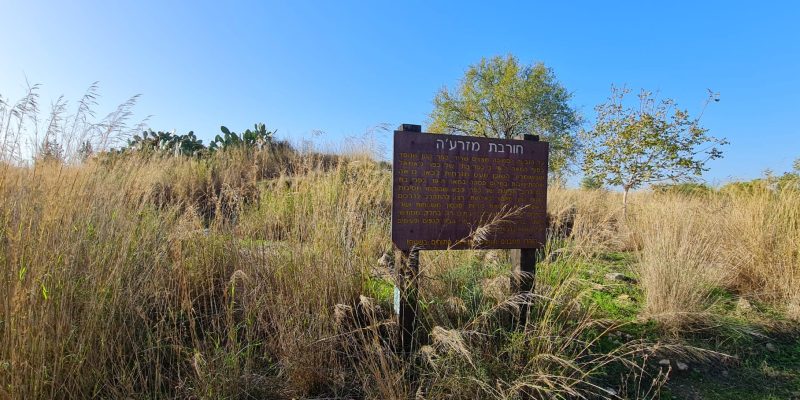 שביל האורנים ושביל אלוני התבור – כוכב יאיר חרבת מזרע'ה
