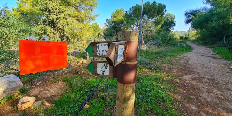שביל האורנים ושביל אלוני התבור – כוכב יאיר
