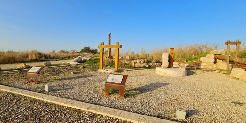 גבעת התיתורה במודיעין – טיול נגיש לכל המשפחה