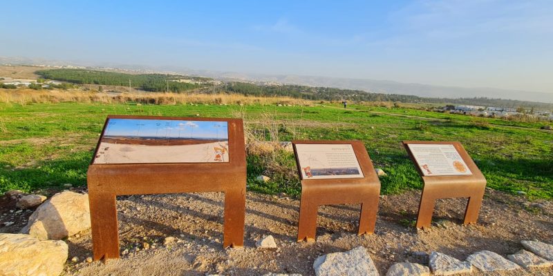 גבעת התיתורה במודיעין – טיול נגיש לכל המשפחה