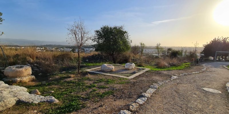 גבעת התיתורה במודיעין – טיול נגיש לכל המשפחה