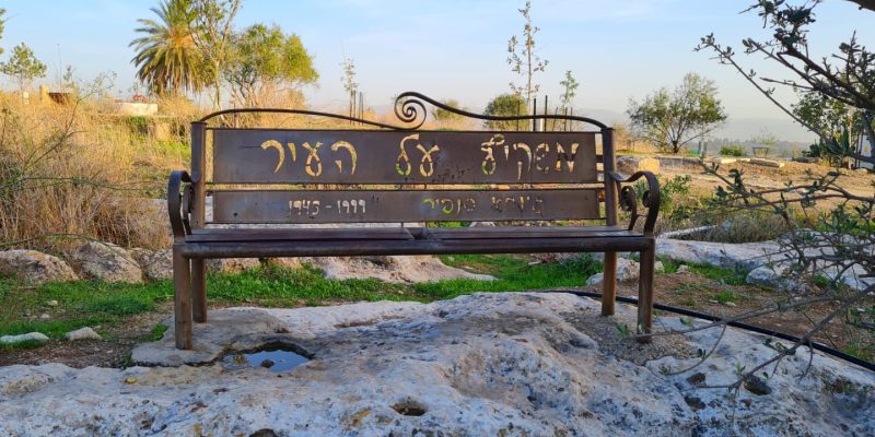 גבעת התיתורה במודיעין – טיול נגיש לכל המשפחה